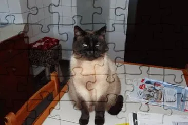 toujours misette jigsaw puzzle