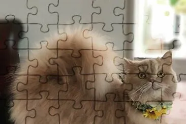 פאזל של imagem