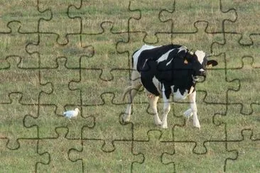 vache et aigrette jigsaw puzzle