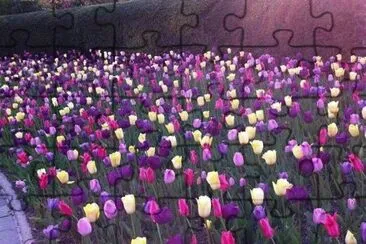 imagem jigsaw puzzle