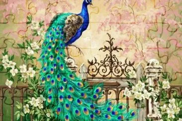 פאזל של peacock