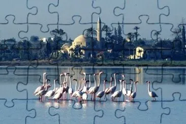 Larnaca Chypre