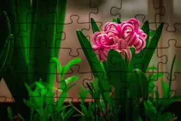 natureza jigsaw puzzle