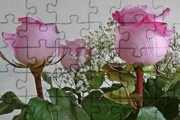 natureza jigsaw puzzle