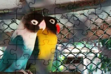 natureza jigsaw puzzle