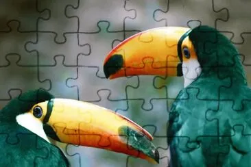 פאזל של natureza