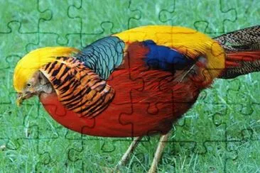 natureza jigsaw puzzle