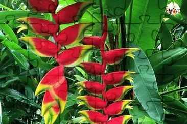 natureza