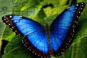 natureza