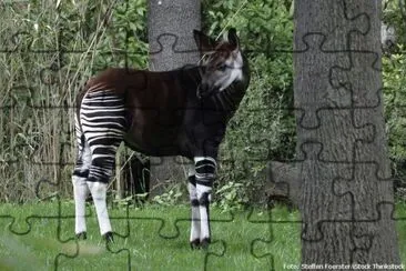 natureza