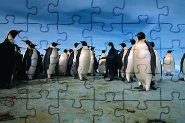 natureza jigsaw puzzle