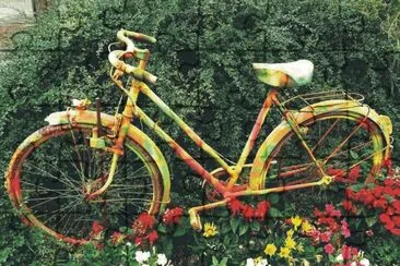 Bicycles with flowers
