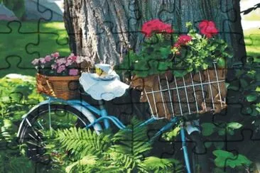 Bicycles with flowers