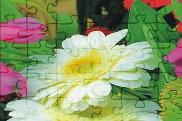 Marigold jigsaw puzzle
