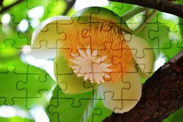natureza jigsaw puzzle