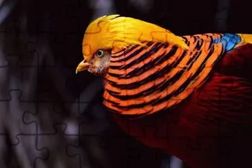 natureza jigsaw puzzle