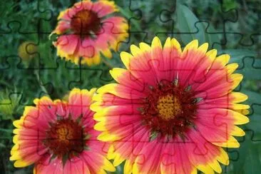 natureza jigsaw puzzle