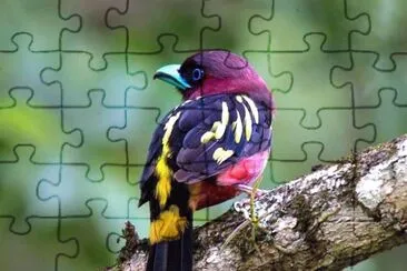 natureza jigsaw puzzle