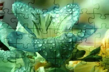 natureza jigsaw puzzle
