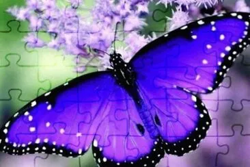 Precious Purple Butterfly jigsaw puzzle