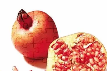 natureza jigsaw puzzle