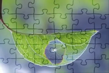 natureza jigsaw puzzle
