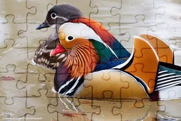 natureza jigsaw puzzle