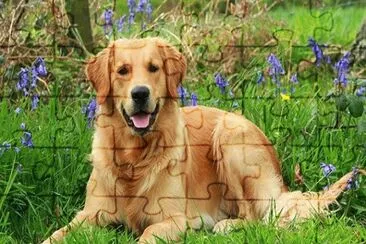 simba jigsaw puzzle