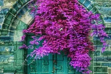 imagem jigsaw puzzle