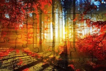 autumn-189