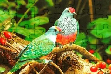 natural jigsaw puzzle