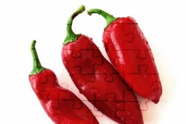 temperos jigsaw puzzle