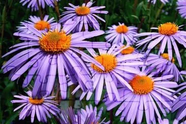 natureza