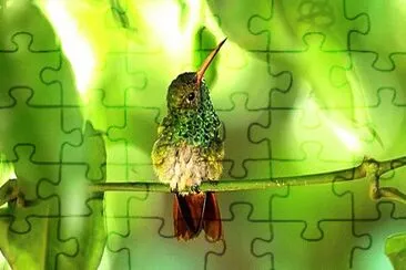 natureza jigsaw puzzle