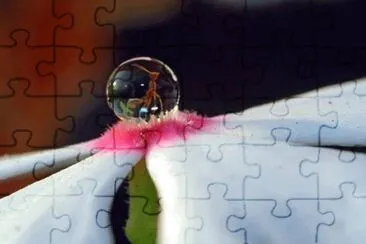 arte jigsaw puzzle