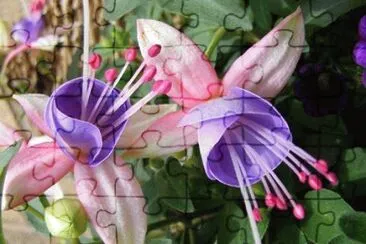 natural jigsaw puzzle