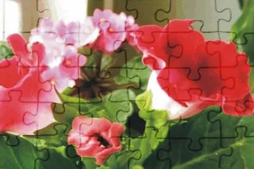 flowers jigsaw puzzle
