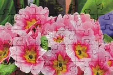 flowers jigsaw puzzle