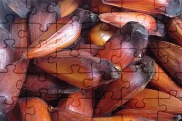 delicias jigsaw puzzle