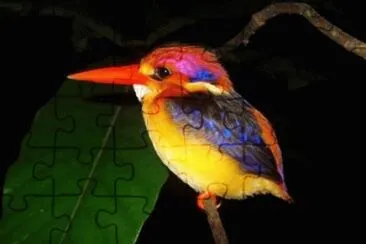 natural jigsaw puzzle