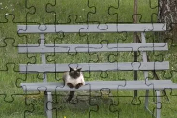 mia sur son banc
