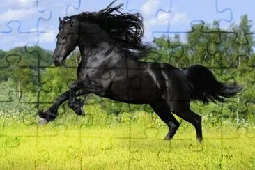caballo9