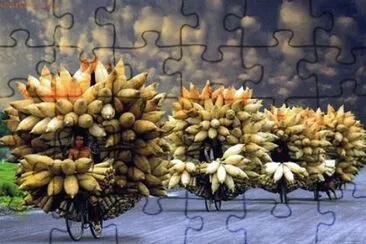 natural jigsaw puzzle
