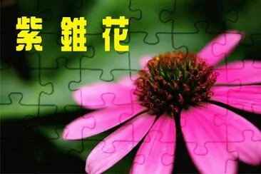 ç´«éŒèŠ± jigsaw puzzle