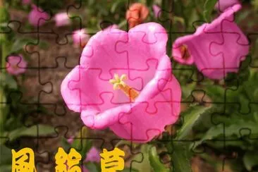 é¢¨éˆ´è‰ jigsaw puzzle