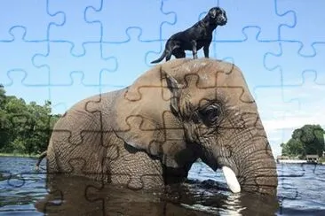 natural jigsaw puzzle