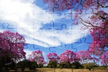 imagem jigsaw puzzle