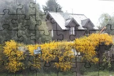 Retama jigsaw puzzle