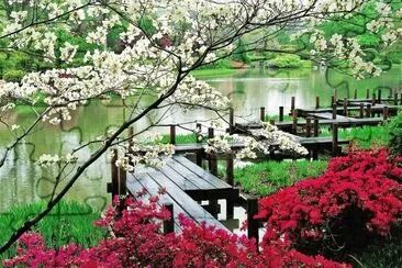 jardÃ­n japones