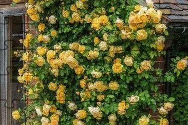 imagem jigsaw puzzle